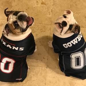 Meet your Posher, Jeff